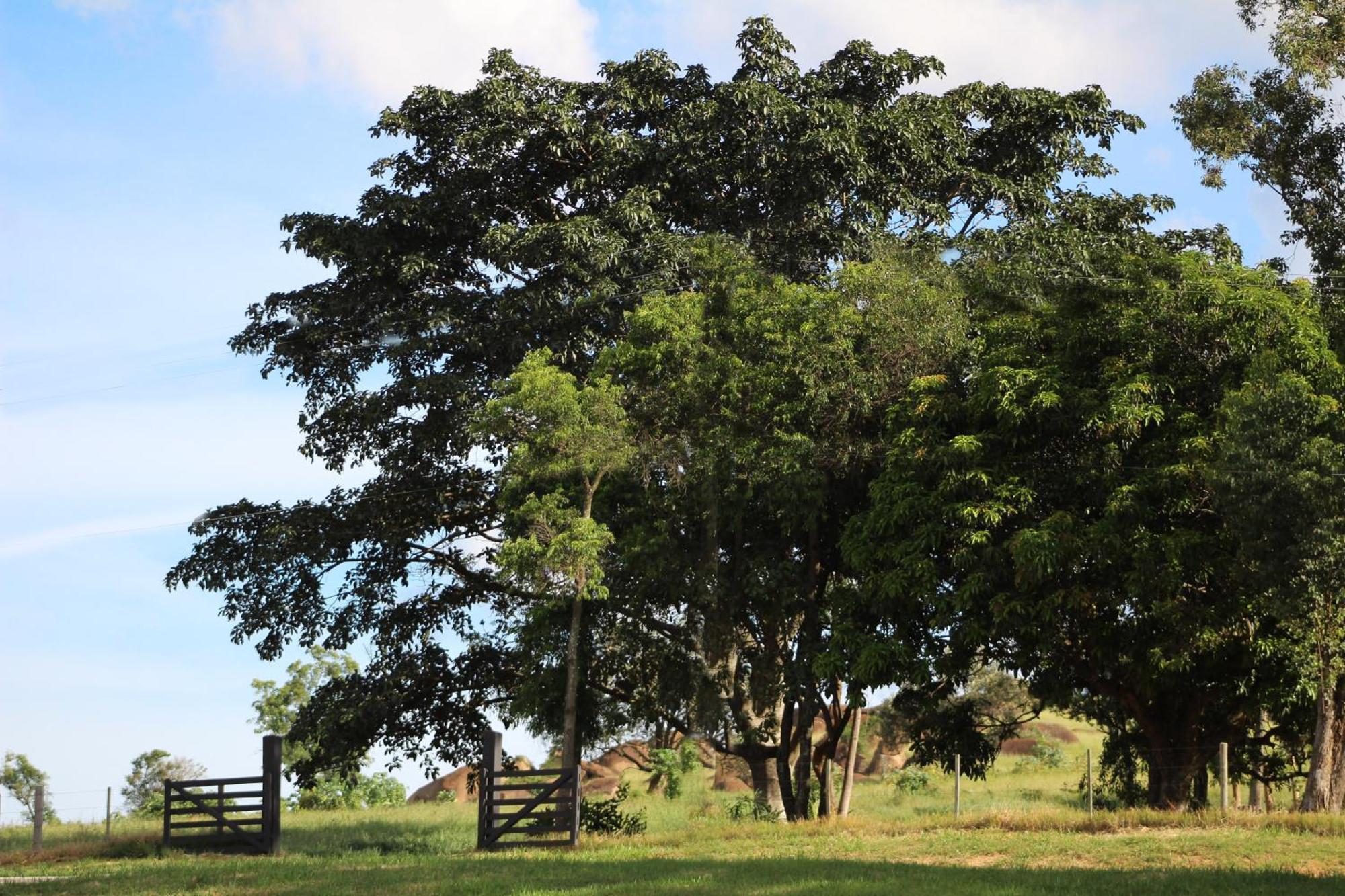 Limoeiro Da Concordia Hotel Fazenda De Charme Кабреува Экстерьер фото